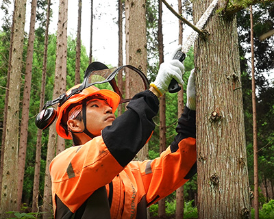 遠野興産・遠野興産とちぎ