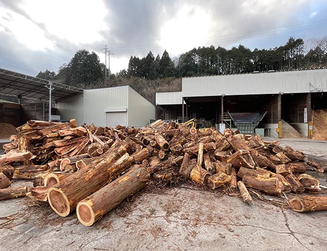 地球温暖化問題の解決策となるエネルギー