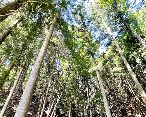 遠野興産株式会社